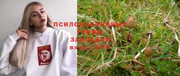 соль курить ск Арсеньев